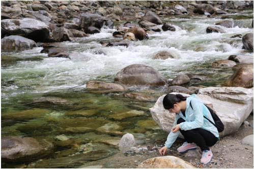 �Ϲ�NG������(�й���)�ٷ���վ