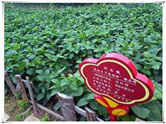 �Ϲ�NG������(�й���)�ٷ���վ