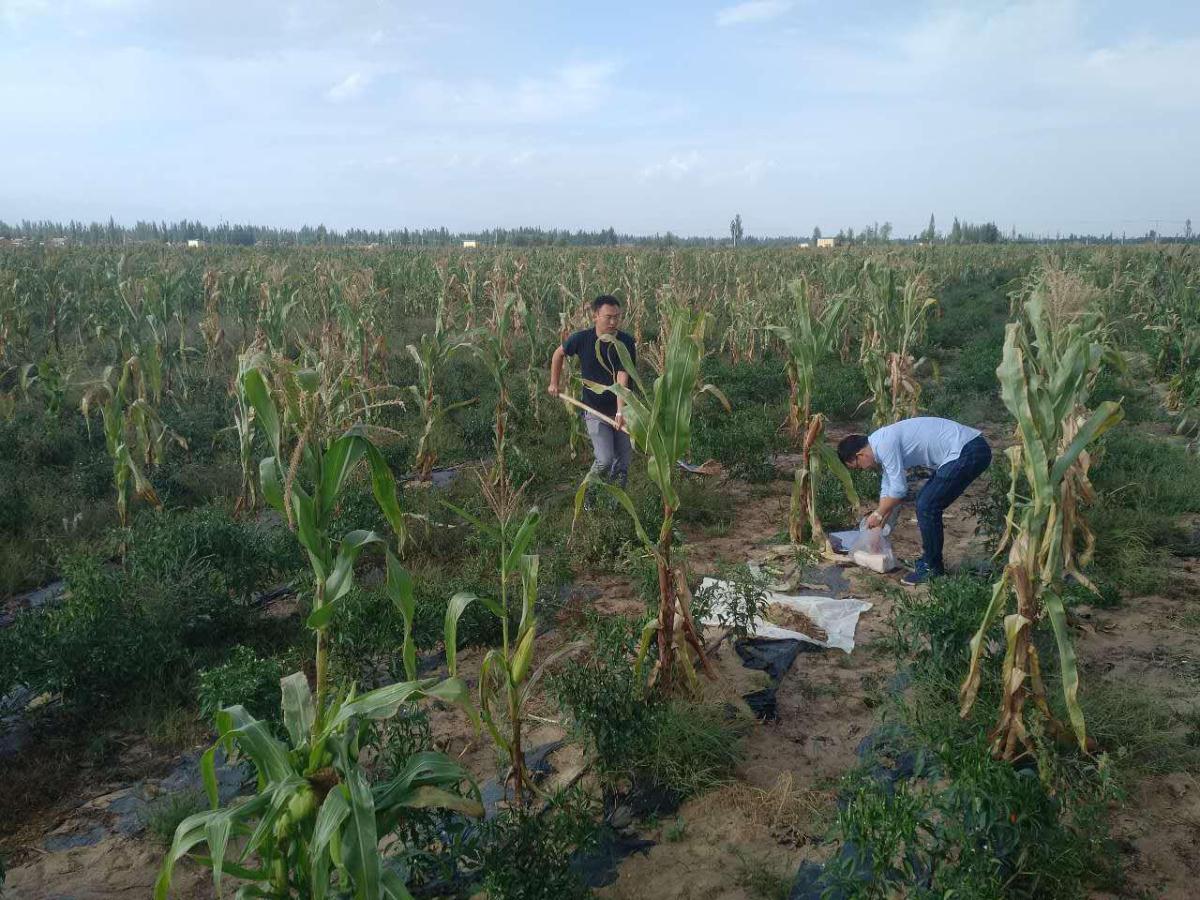 �Ϲ�NG������(�й���)�ٷ���վ