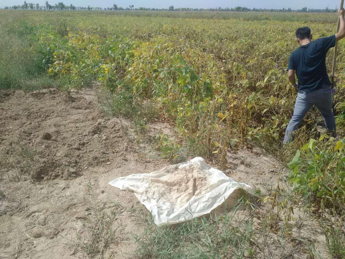 �Ϲ�NG������(�й���)�ٷ���վ