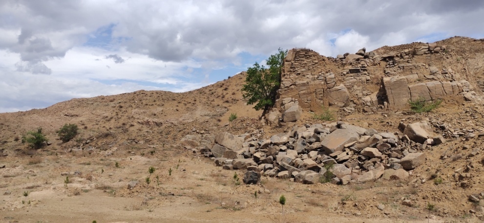 �Ϲ�NG������(�й���)�ٷ���վ