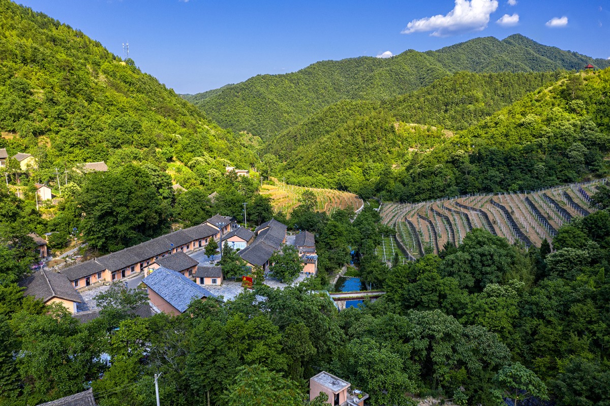 �Ϲ�NG������(�й���)�ٷ���վ