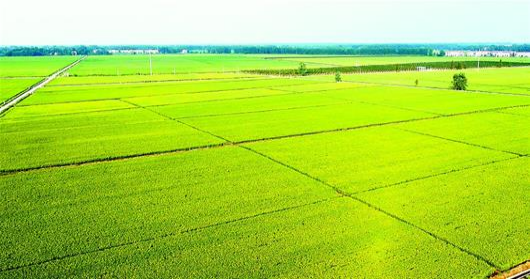 �Ϲ�NG������(�й���)�ٷ���վ