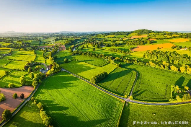 �Ϲ�NG������(�й���)�ٷ���վ