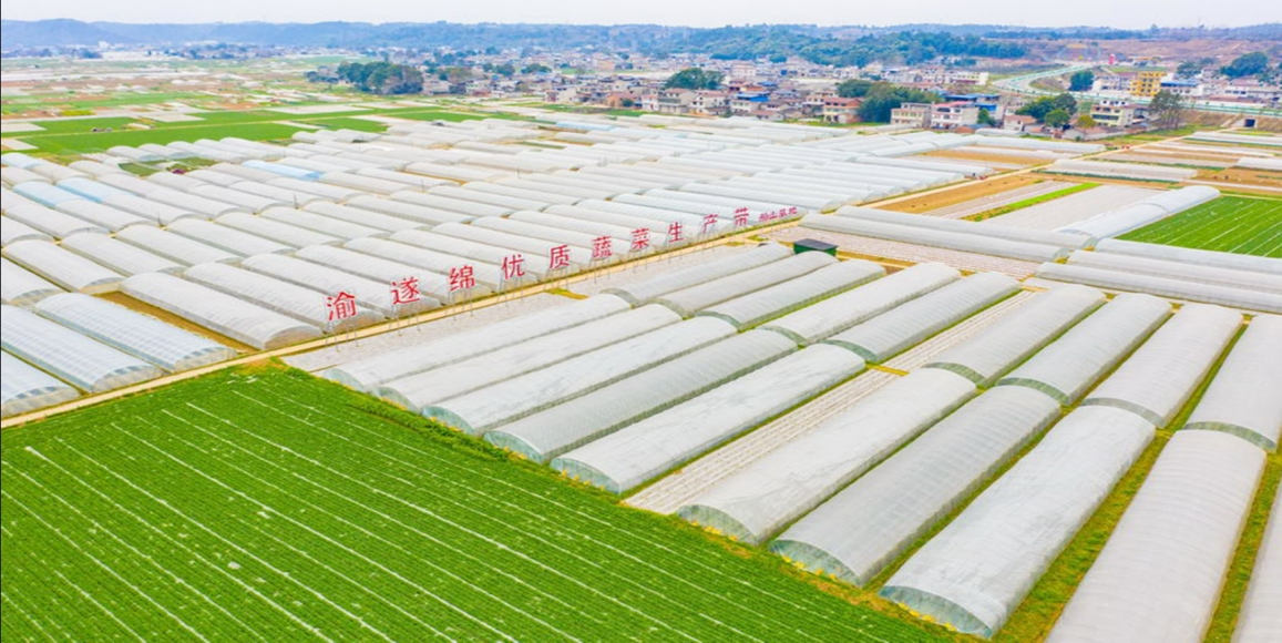 �Ϲ�NG������(�й���)�ٷ���վ