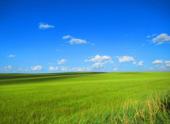 �Ϲ�NG������(�й���)�ٷ���վ