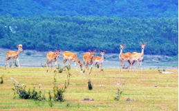 �Ϲ�NG������(�й���)�ٷ���վ