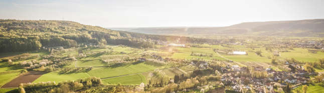 �Ϲ�NG������(�й���)�ٷ���վ