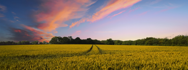 �Ϲ�NG������(�й���)�ٷ���վ