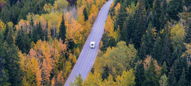 �Ϲ�NG������(�й���)�ٷ���վ