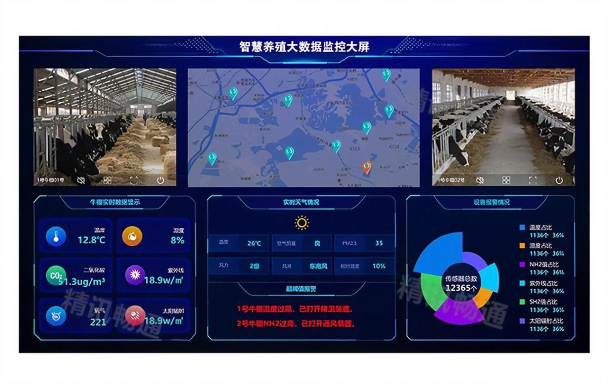 �Ϲ�NG������(�й���)�ٷ���վ