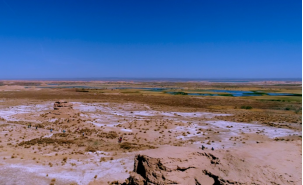 �Ϲ�NG������(�й���)�ٷ���վ