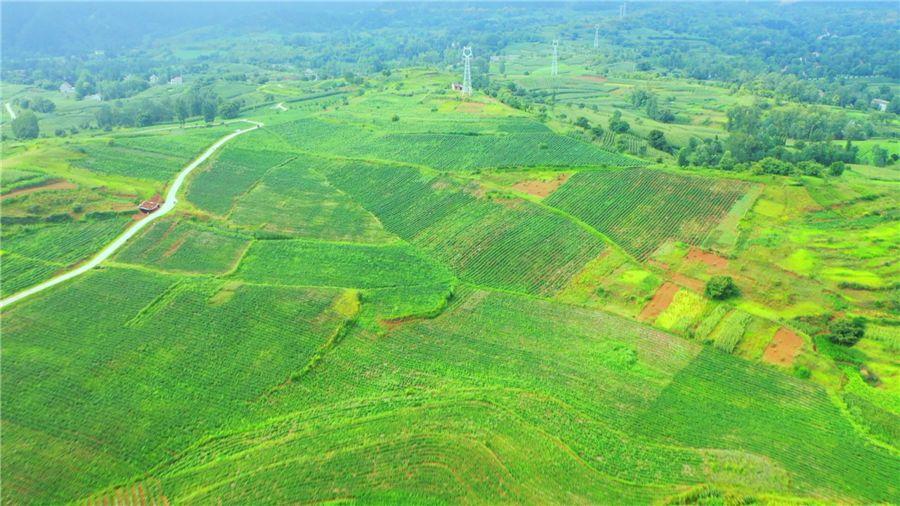 �Ϲ�NG������(�й���)�ٷ���վ