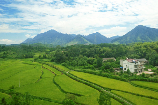 �Ϲ�NG������(�й���)�ٷ���վ