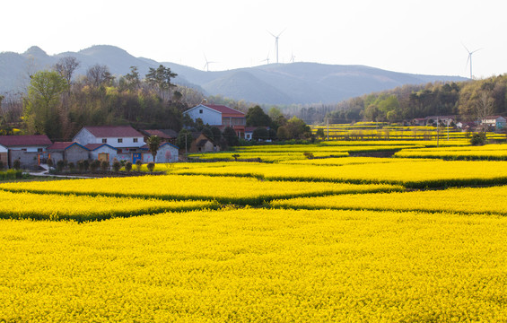 �Ϲ�NG������(�й���)�ٷ���վ