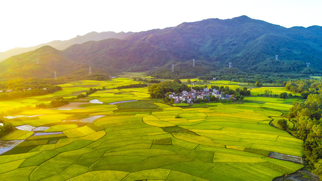 �Ϲ�NG������(�й���)�ٷ���վ