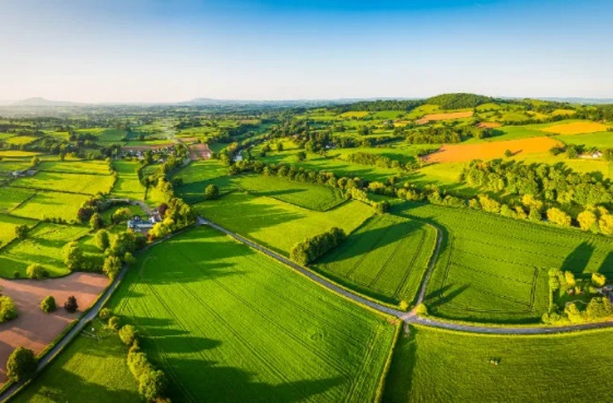 �Ϲ�NG������(�й���)�ٷ���վ