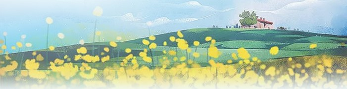 �Ϲ�NG������(�й���)�ٷ���վ