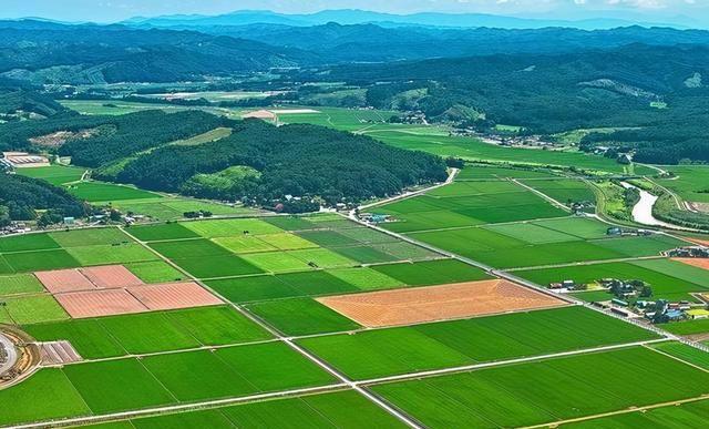 �Ϲ�NG������(�й���)�ٷ���վ