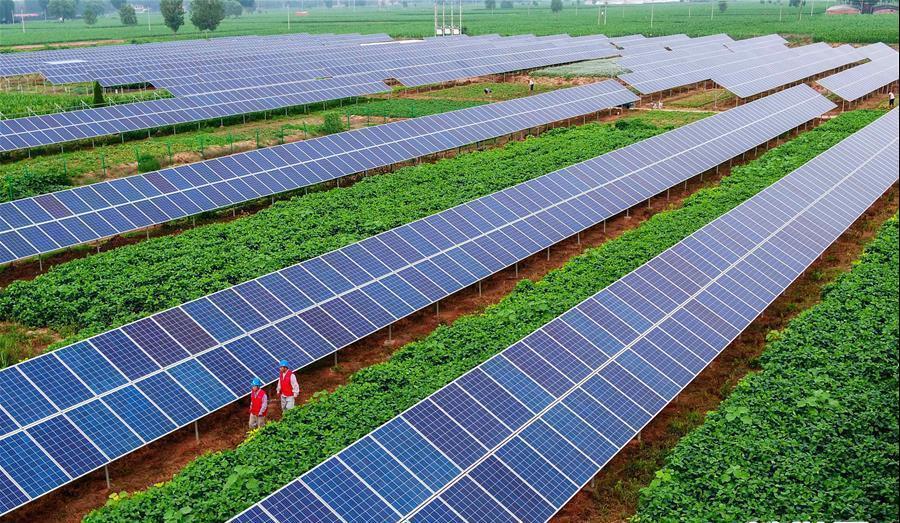 �Ϲ�NG������(�й���)�ٷ���վ