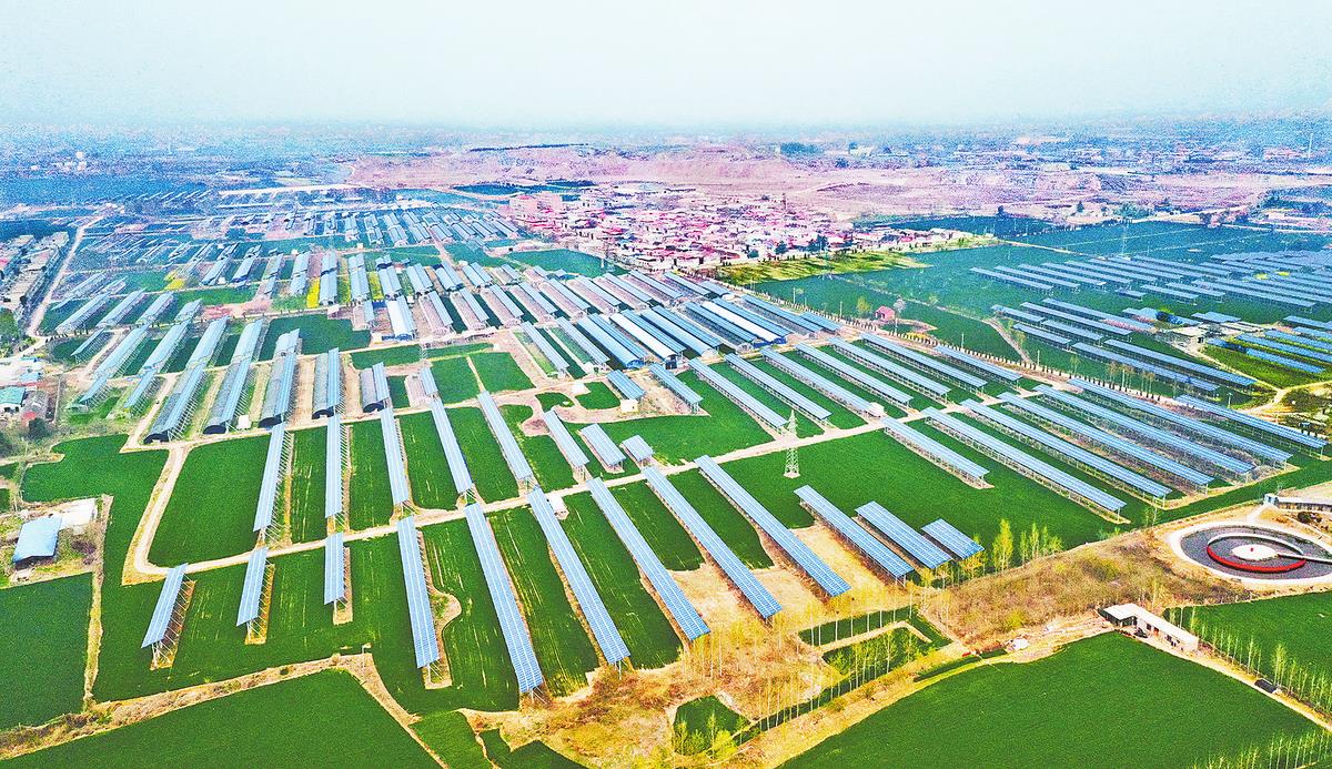 �Ϲ�NG������(�й���)�ٷ���վ