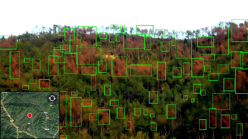 �Ϲ�NG������(�й���)�ٷ���վ