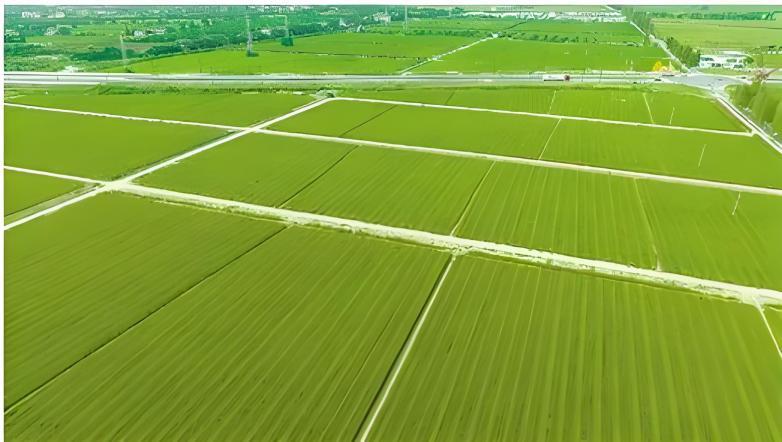 �Ϲ�NG������(�й���)�ٷ���վ