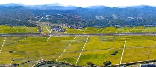 �Ϲ�NG������(�й���)�ٷ���վ