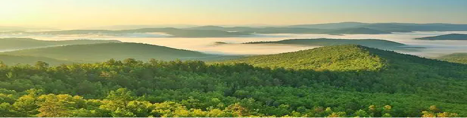 �Ϲ�NG������(�й���)�ٷ���վ